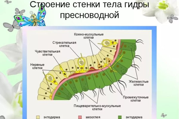 Кракен сайт krakens13 at