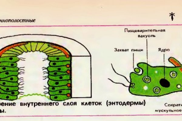 Кракен сайт упал
