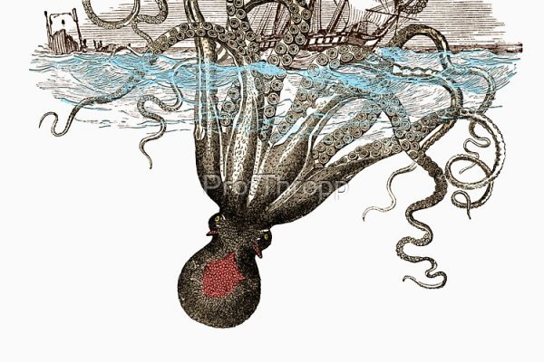 Kraken как найти ссылку