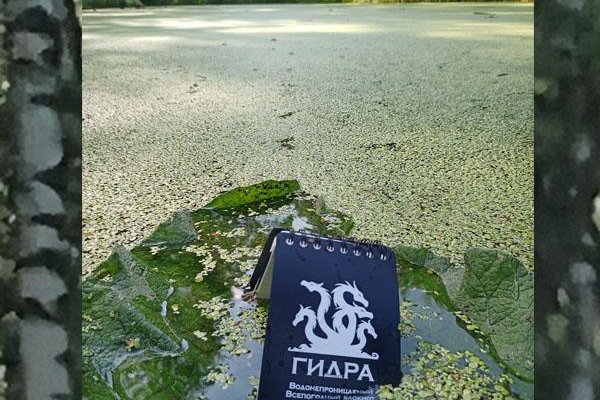 Зеркало кракен дарк