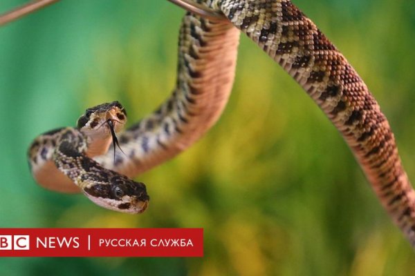 Кракен правильная