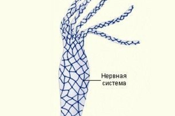 Ссылка кракен сегодня