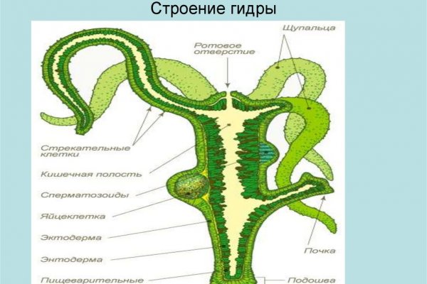 Кракен сайт наркотиков