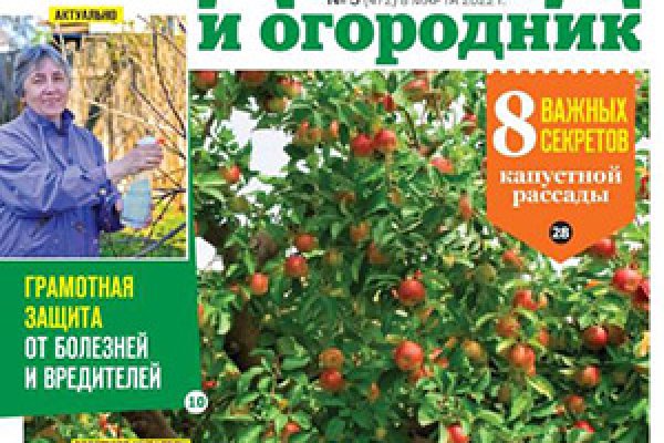 Кракен зеркало на сайт