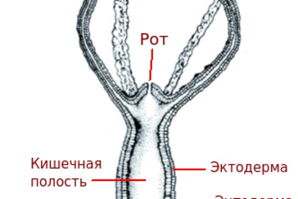 Кракен даркнет рабочая ссылка