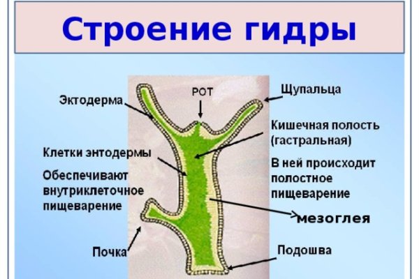 Поддержка кракен шоп