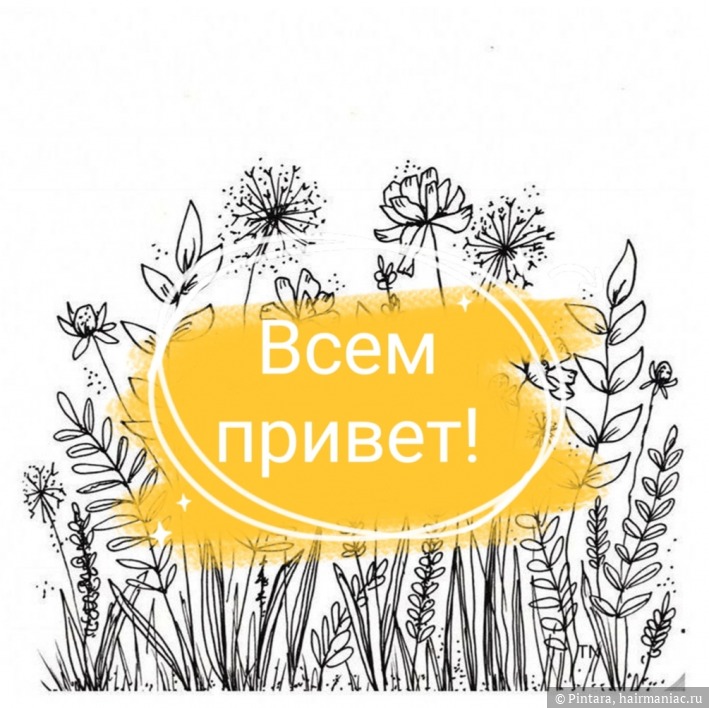 Кракен сайт в тор браузере