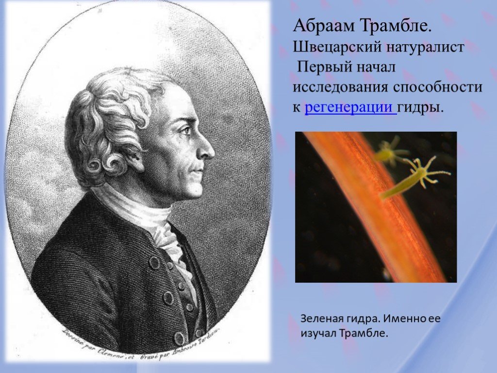 Кракен даркнет скачать